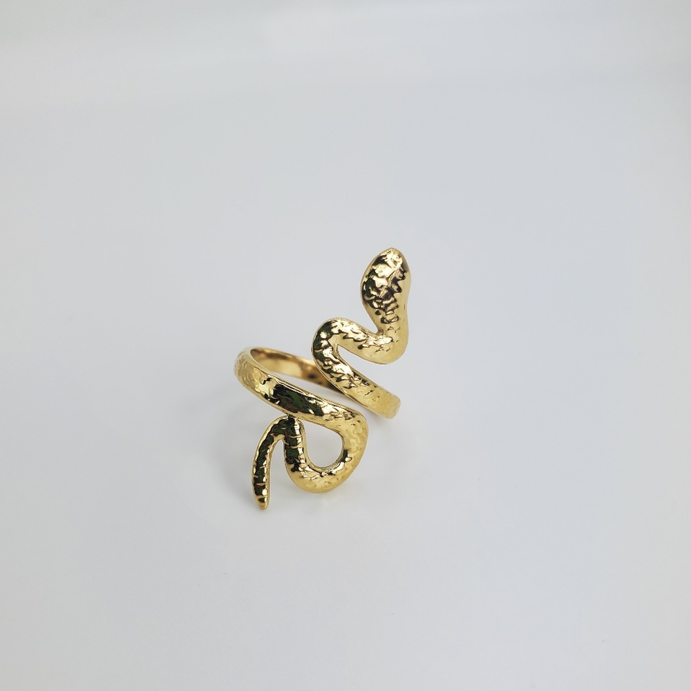 Beautiful ring